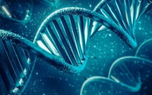 Empresa de testes de DNA é investigada por violação de dados