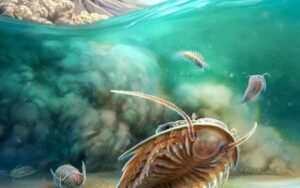 Encontrados fósseis de trilobitas mais preservados até agora