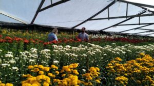 Governo do RJ concede linha de crédito para produtores de flores
