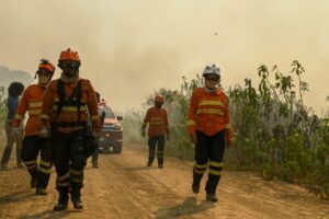 Luta dos Bombeiros contra o fogo no Pantanal é contínua e emociona quem é salvo das chamas