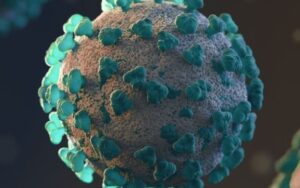 OMS confirma 1ª morte causada pela variante H5N2 da gripe aviária