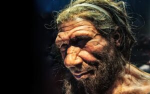 Por que o cromossomo Y dos neandertais não está no nosso DNA?