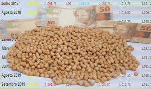Preços da soja sobem em maio devido a incertezas no RS