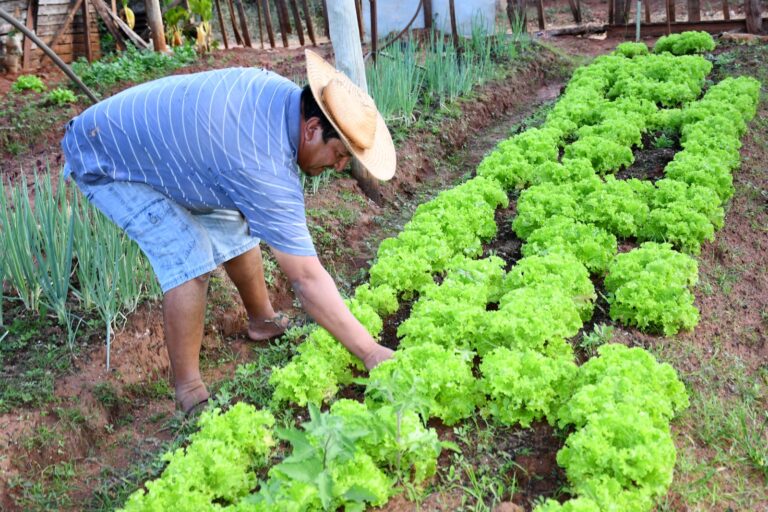 Prefeitura faz primeira entrega de fertilizante orgânico doado pelo governo para Aldeia Indígena Água Bonita