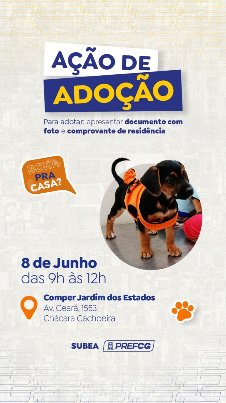 Prefeitura realiza ação de adoção de cães e gatos no próximo sábado