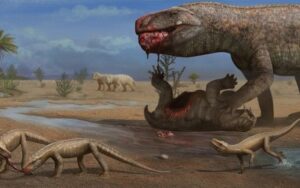 Réptil que viveu antes dos dinossauros é descoberto no Brasil