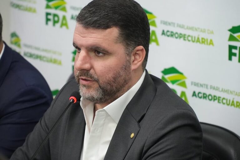 ‘Em vez de gastar comprando arroz, governo deveria focar no Plano Safra’, diz Lupion, da FPA