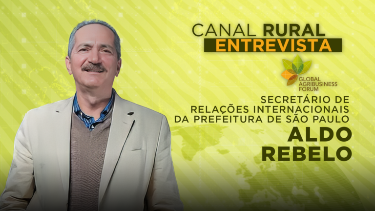 Brasil precisa proteger a soberania da Amazônia, diz Aldo Rebelo