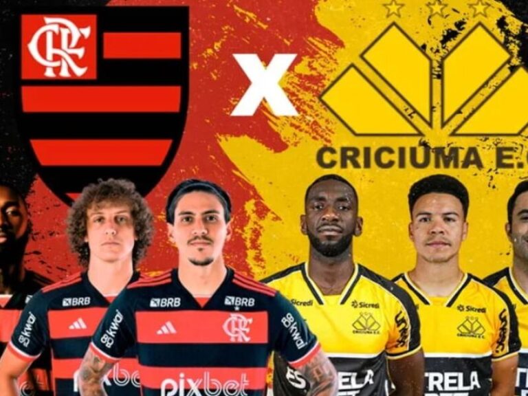 Brasileirão: Flamengo e Criciúma se enfrentam neste sábado