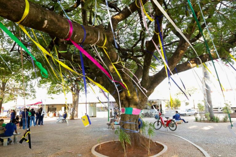 Cultura: lançamento de livros e rodas de conversa marcam a 8ª edição da Feira Literária de Bonito