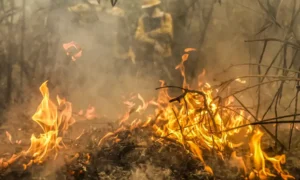 Focos de incêndio no Pantanal estão sob investigação da PF, diz ministra