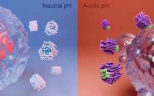 Nanorrobôs destroem células cancerígenas em testes com animais