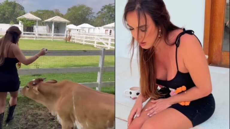 Nicole Bahls leva cabeçada de 'Ana Castela' em sítio: 'Muito atentada'