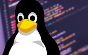 Pesquisadores identificam falha crítica que expõe sistemas Linux