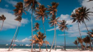 Qual a melhor época para ir a Punta Cana, na República Dominicana?