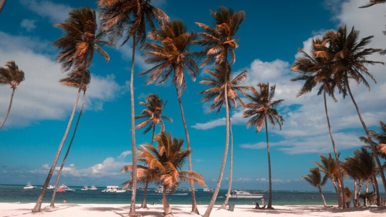 Qual a melhor época para ir a Punta Cana, na República Dominicana?
