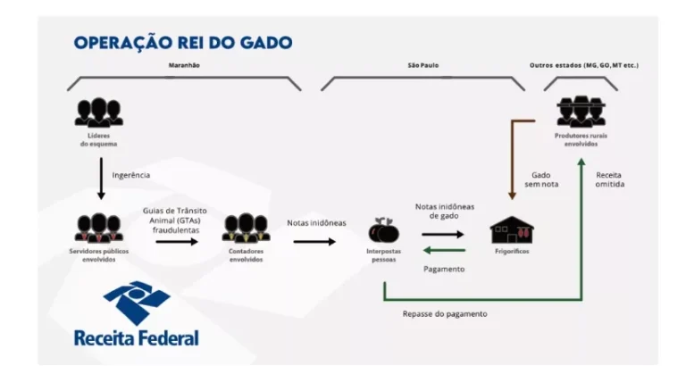 RF investiga sonegação de quase R$ 1 bilhão em venda de gado