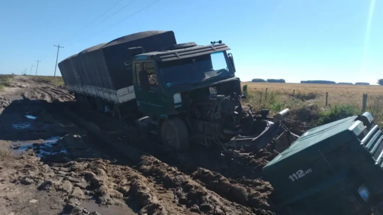 SOS Agro quer reunir ao menos 10 mil produtores em apoio ao RS