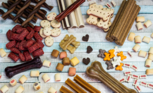 Taiwan abre mercado para alimentação pet de derivados lácteos do Brasil