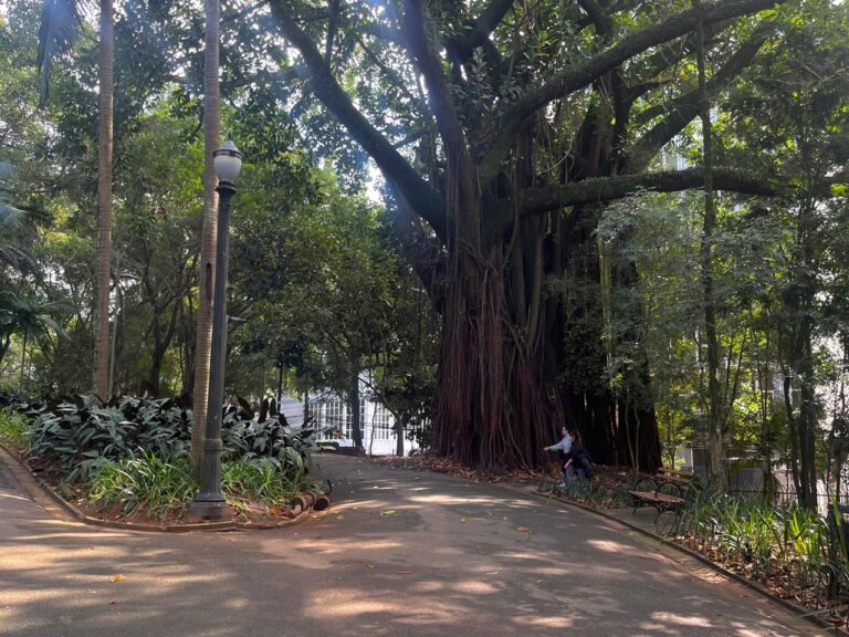 Parque Buenos Aires, São Paulo, Brasil