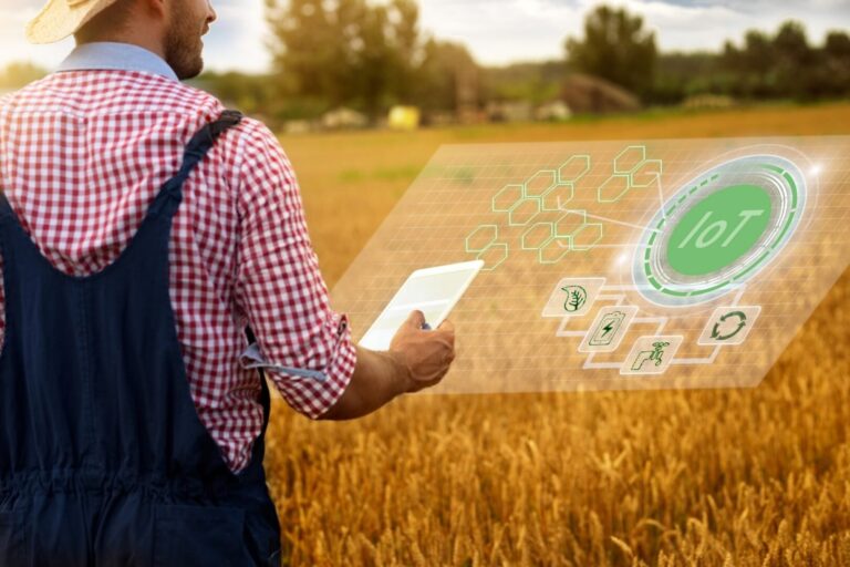 Agricultores de MS recebem apoio digital para modernizar a produção rural