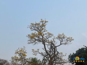Céu nublado e fumaça persistem em Coxim com queda de temperatura neste sábado