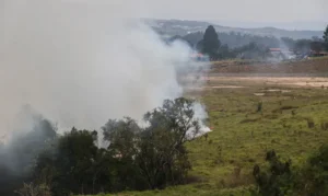 Citros: incêndios em SP não devem comprometer oferta das frutas