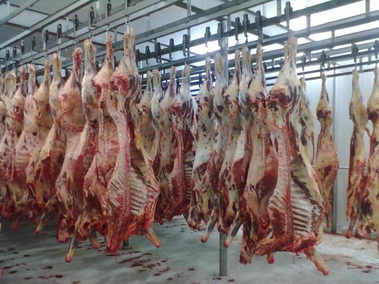 Egito abre mercado para carne bovina com osso do Brasil