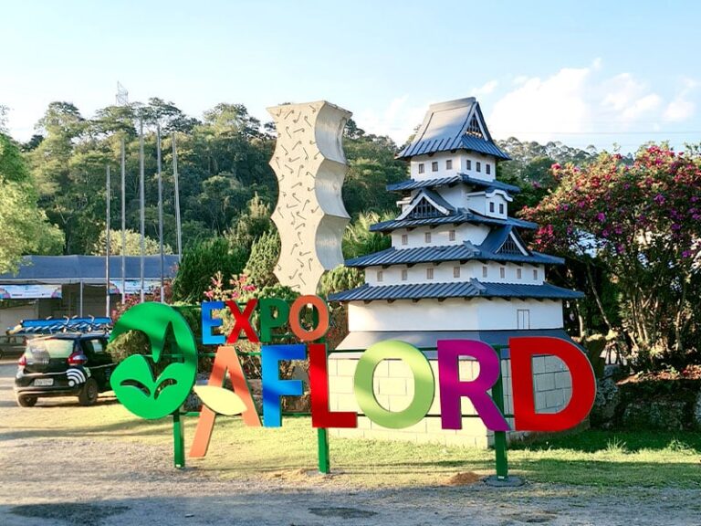 Expo Aflord: evento em Arujá reúne flores de 5 continentes