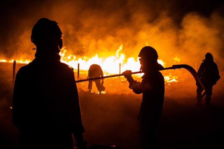 Fogo não é usado na pré-colheita de cana há dez anos, diz Unica