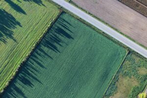 G20 em Mato Grosso reúne líderes mundiais para debater segurança alimentar e clima