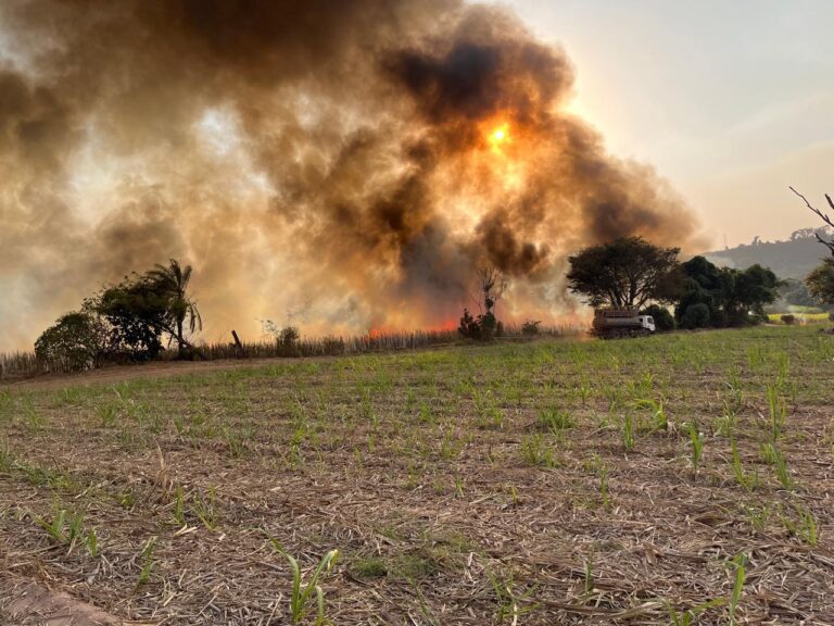 Governo de São Paulo lança pacote de R$ 10 milhões para produtores rurais afetados por incêndios