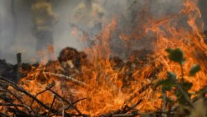 Incêndios atingiram mais de 8 mil propriedades rurais em 317 municípios de SP