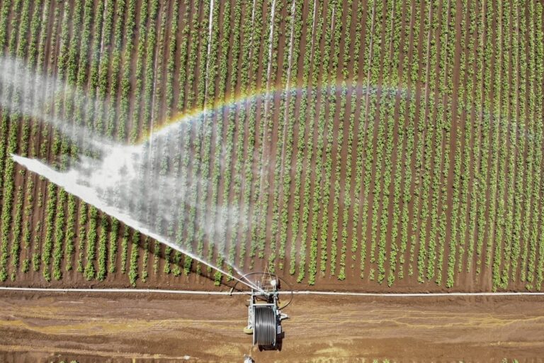 Paraná terá mais 20% de área agricultável subsidiada para irrigação