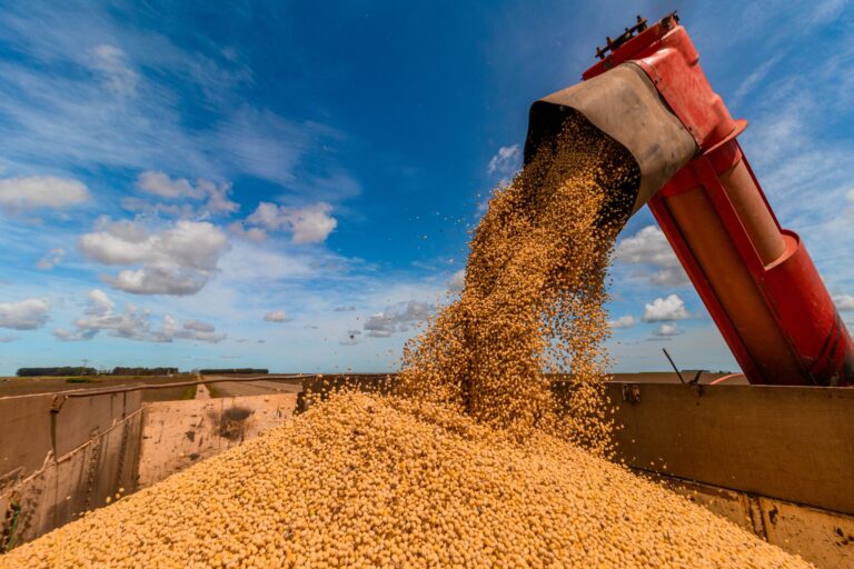 Produção de grãos deve recuar 6,6% e atingir 298,60 milhões de t na safra 2023/24, diz Conab