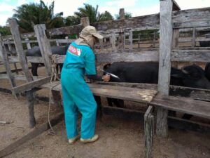 Projeto fortalece transparência de normas da defesa agropecuária