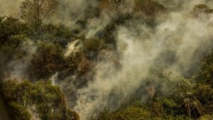 Rondônia declara situação de emergência por incêndios florestais