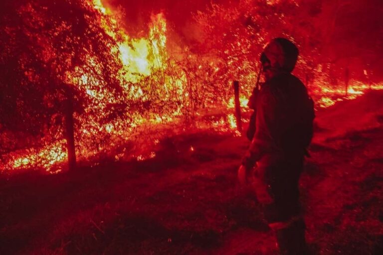 Situação de emergência por incêndio florestal cresceu 354% em agosto