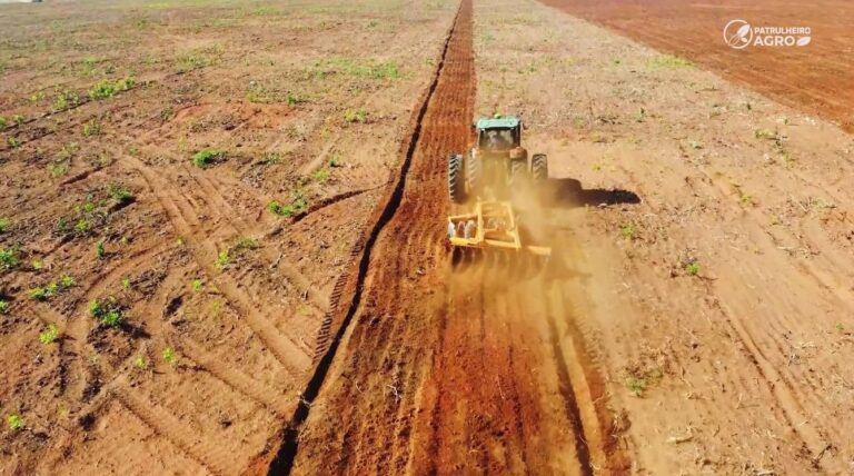 Soja: oferta elevada da América do Sul pressiona cotações