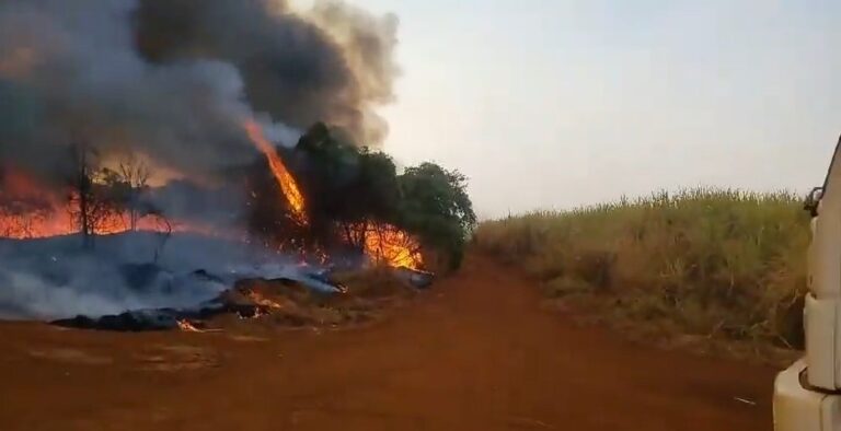 VÍDEO: incêndio atinge canavial em Minas Gerais