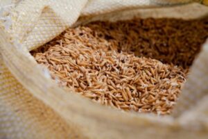 Arroz: disparidade entre preços reduz liquidez