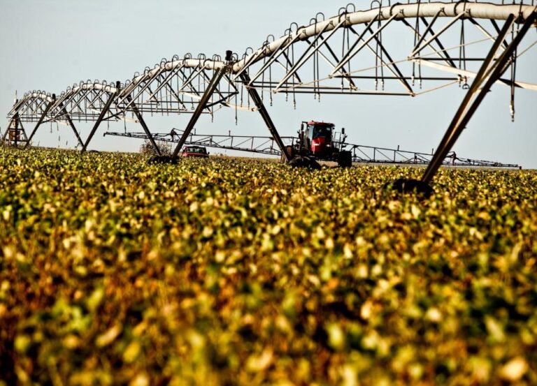 Brasil abre 205 novos mercados para o agronegócio e mira 300 até o final do ano; descubra quais são