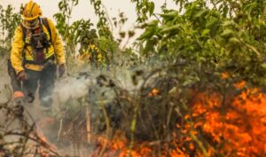 Brasil já registrou mais de 154 mil focos de calor este ano