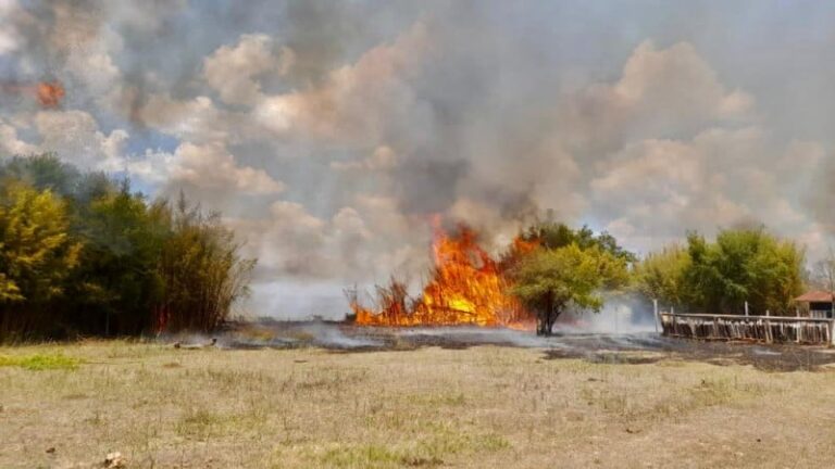 CNA faz 12 recomendações aos produtores impactados por incêndios