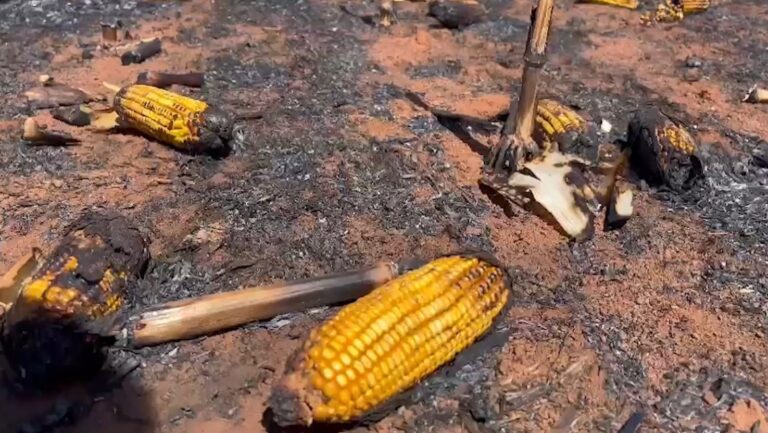 CNA vê prejuízo de R$ 14,7 bi à agropecuária por incêndios entre junho e agosto