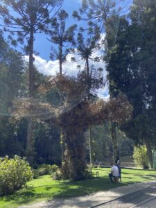 Parque Bambuí, Campos do Jordão, São Paulo