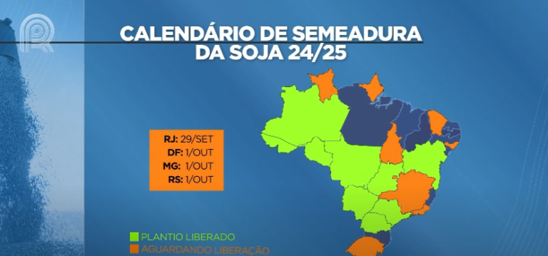 Chuva deve aliviar o clima em Goiás e na Bahia? Confira como está o plantio da soja nos estados