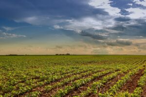 Em Santa Maria (RS), início da semeadura depende da melhora climática