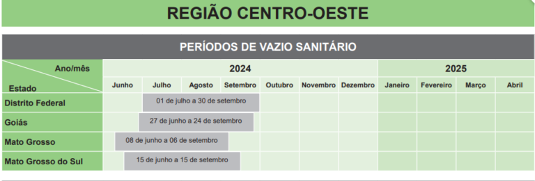 Em meio às queimadas no Centro-Oeste, o impacto no plantio da soja