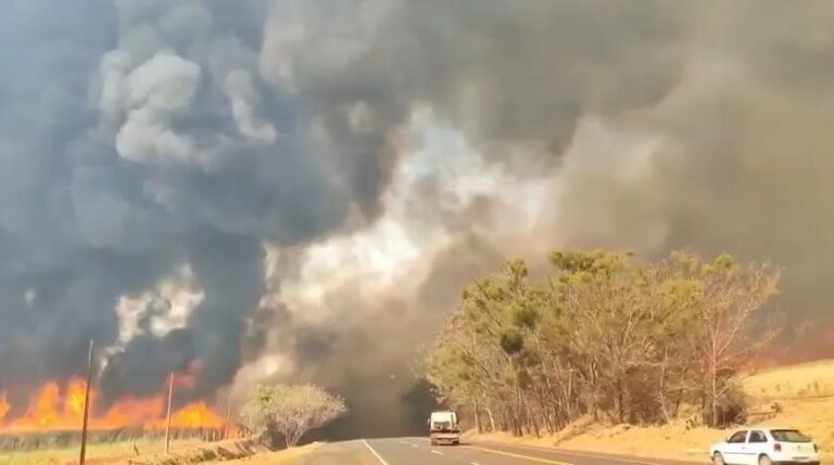 Faesp pede apoio urgente para produtores rurais afetados por incêndios em SP